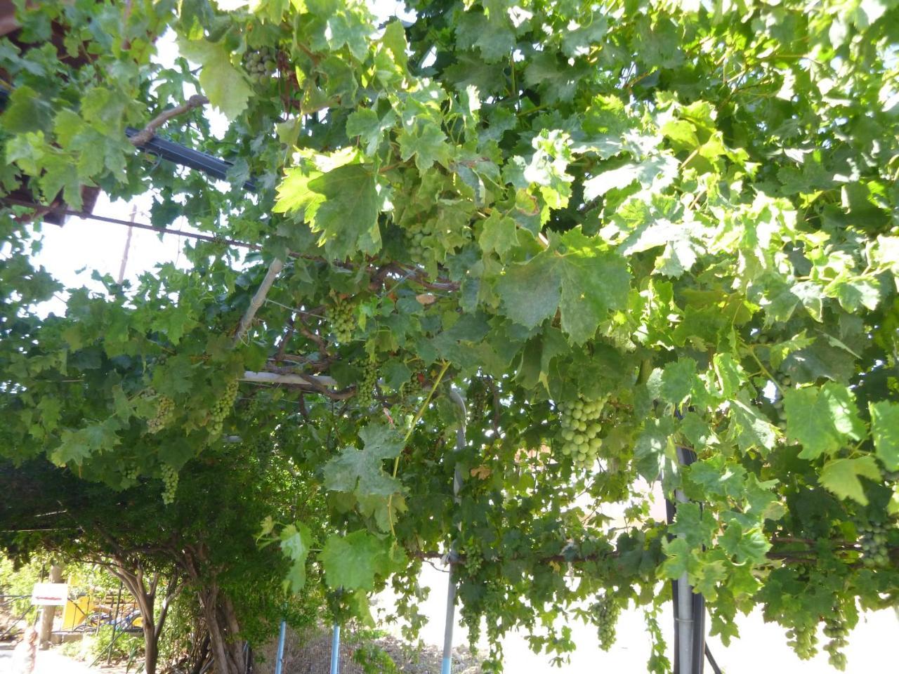 Stavros Apartments 伊斯特隆 外观 照片